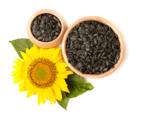 Sunflower seeds and flower isolated on white background, top view