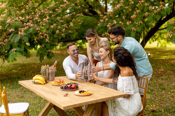 Group of happy young people cheering with fresh lemonade and eating fruits in the garden