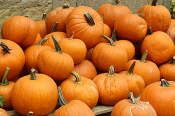 Hokkaidokürbissse gestapelt