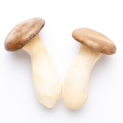 King oyster mushroom on white background.