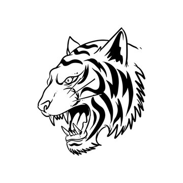 tiger for beast and wildlife animal illustration design
