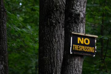 Nature / Forest in Ontario, CAD. Sunset, spider web, trees, plants, beach, leaves, lake with a dock, street, abandoned house, river, lily pads, fishing, relaxing summer with coffee, sunflowers, etc.