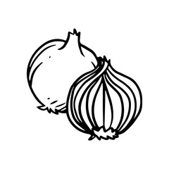 onions for vegetables and fruits illustrations design