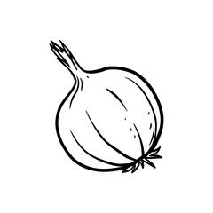 onions for vegetables and fruits illustrations design