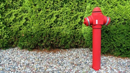 Bright red fire hydrant in the park