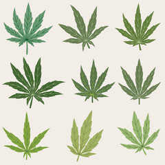 simplicity cannabis leaf freehand drawing collection.