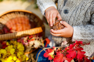 child in gray knitted sweater holds fir cone in his hands, close-up. Autumn theme