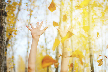 hands throw up yellow autumn leaves, against background of sky and trees. Lens flare