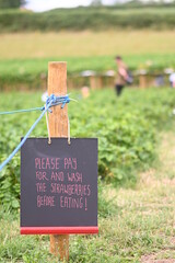 strawberry picking sign