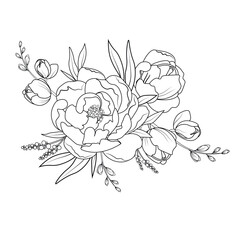 Drawing and sketch of wild rose flowers with a line drawing on a white background. © ishpoka