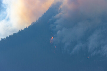 raging out of control forest fire burning on mountain side filling air with smoke