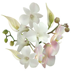 Naklejka na ściany i meble Beautiful tropical flowers. White orchids. Pink. Floral background. Isolated. Bouquet.