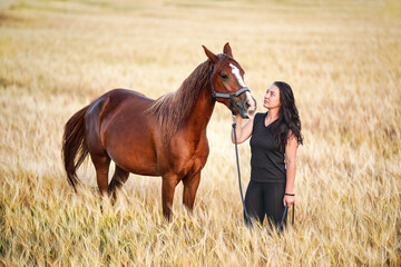 Young woman in black leggings and t shirt walking with brown Arabian horse in wheat field