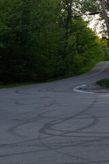 Nature / Forest in Ontario, CAD. Sunset, spider web, trees, plants, beach, leaves, lake with a dock, street, abandoned house, river, lily pads, fishing, relaxing summer with coffee, sunflowers, etc.