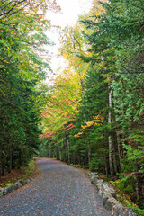 Fototapeta na wymiar A road in Acadia National Park, Maine bordered by trees showing fall foliage