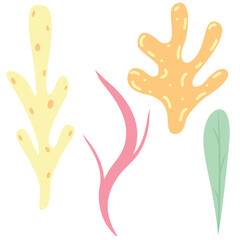 multi-colored seaweeds and corals of different shapes, a set of children vector elements, cartoon flat style