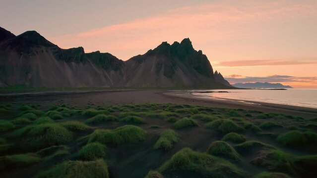 Vestrahorn mountain and clump of grass on black sand beach in the morning at Stokksnes Peninsula, Iceland