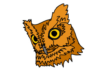 Brown Owl Head Vector