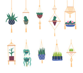Cartoon Color Macrame Hangers and Plants Icons Set Flat Design Style. Vector illustration of Hanging Potted Houseplants