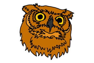 Brown Owl Head Vector