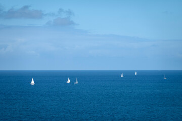 Obraz premium White sailing yachts out at sea, Zealand, Denmark, Europe