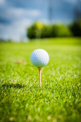 golf club and ball on the green