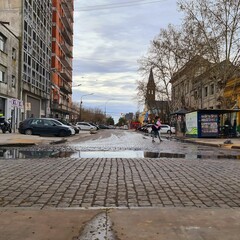 Naklejka premium old avenue with trees and buildings. Vieja avenida con edificios y arboles.