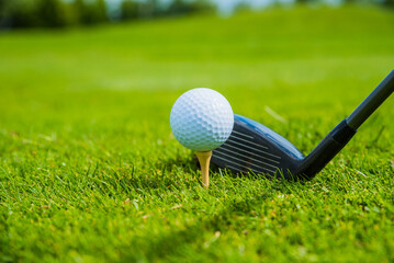 golf club and ball on the green