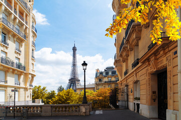 eiffel tour and Paris street © neirfy
