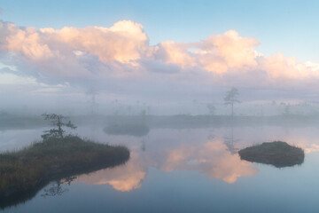 Bog lake with islands and reflections with the fog clad dawn colored sky background