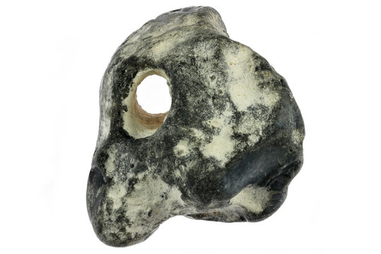 adder stone from the Baltic Sea coast in Waabs, Germany isolated on white background