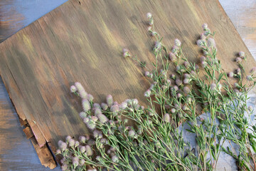 flowers on a wooden fence