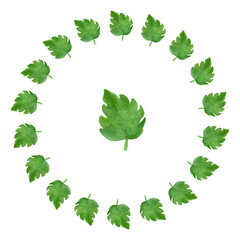 Watercolor illustration circular frame of green leaves.