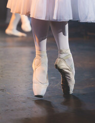 Ballet dancers couple during performance repetition, classic ballet rehearsal practicing in ballroom, view of legs in pointe shoes, ballerina and ballet dancer on a concert hall theatre stage © tsuguliev