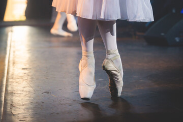 Ballet dancers couple during performance repetition, classic ballet rehearsal practicing in ballroom, view of legs in pointe shoes, ballerina and ballet dancer on a concert hall theatre stage © tsuguliev