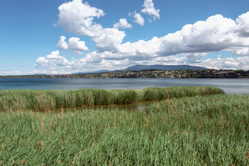 Genève, parc au bord du lac