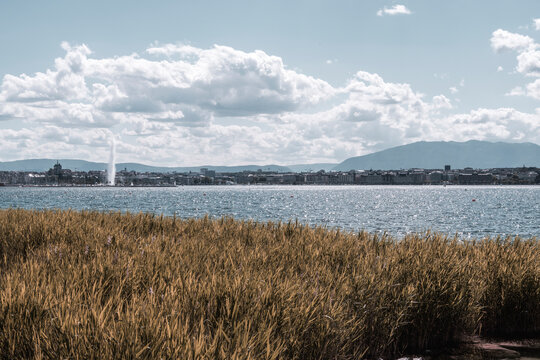 Gen&egrave;ve, vue depuis la pointe &agrave; la bise