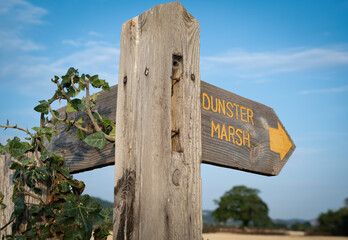 Wooden ivy clad sign post for Dunster Marsh on the coast path at Dunster Beach, West Somerset