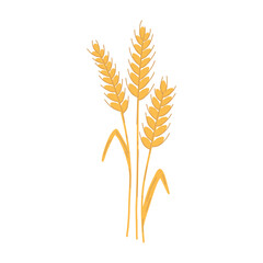 Wheat ear spikelet with grains in cartoon flat style. Vector illustration of cereal grain stem, rye ear, organic vegetarian food for backery, flour production or packaging design