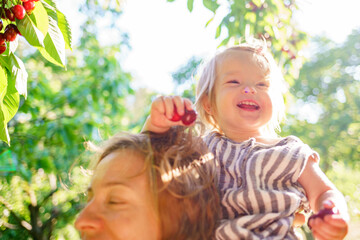 Mother helps cute child learn the world. A little girl reaches for cherries on a tree. Mom and daughter are harvesting cherries in the garden