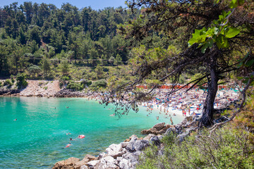 Fototapeta na wymiar View on Marble Beach with tourists, most famous beach on Thasos, Greece. Turquoise clear sea water. Pine trees surround the beach. Holiday and travel concept. 