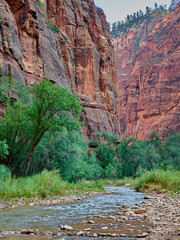 Red rocks in Zion National Park, Utah, USA