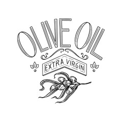Olive oil and branch of trees logo. Organic vegetarian product in bottle. Green plant badge emblem patch sticker. Engraved hand drawn in old vintage sketch. Vector illustration.