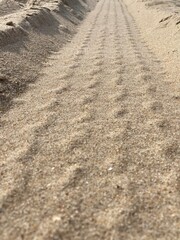 In the sand are grooves of a tire track