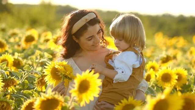 A young beautiful brunette plays with her little child on a walk in a field of sunflowers. Deficit of sunflower oil in the world. Family walk in the countryside in summer on
