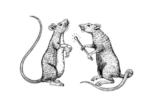 Rat or mouse with a match. Graphic wild animal. Hand drawn vintage sketch. Engraved grunge elements.