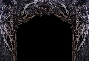 scary, surreal background with intricately intertwined branches of vines, halloween concept, time...
