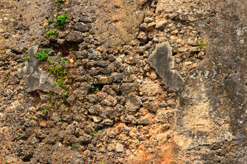 Background of the stone wall