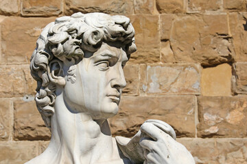 Head of the David in Piazza della Signoria, Florence