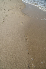 Traces in the sand during the oncoming wave.       